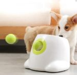 Automatisk Bollkastare Hund mini