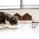 Cheerble – Wicked Mouse – Interaktiv Kattleksak